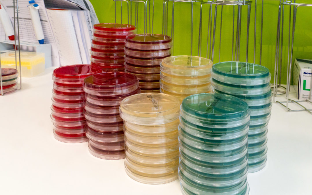 Vorsorge nicht aussetzen